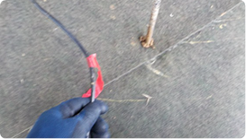 ケーブル破損点検