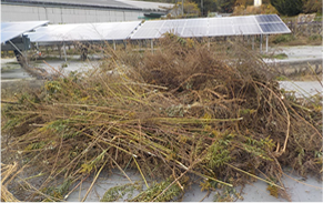 草刈り後の草の処理はどうなりますか？