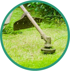 草刈りをしないといけないが遠方だし、面倒